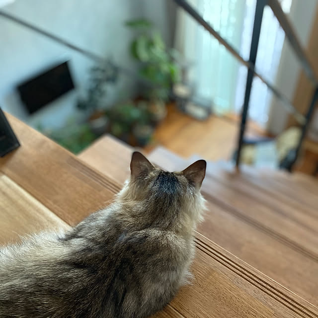 manew714さんの実例写真