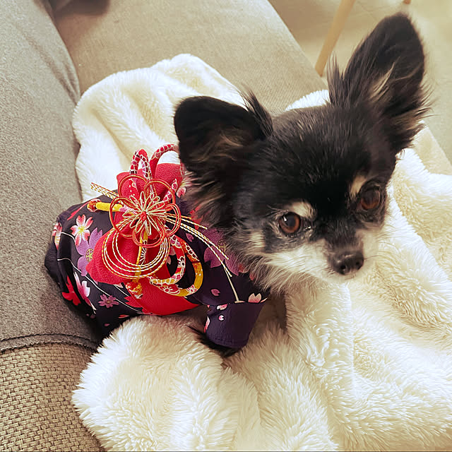 cocoさんの実例写真