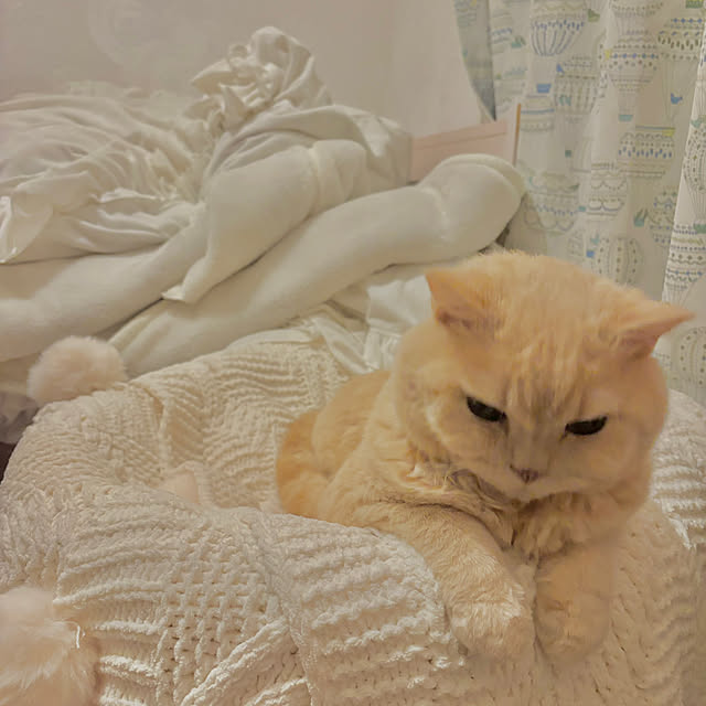 naokoさんの実例写真