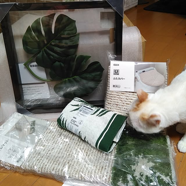 posauruさんの実例写真