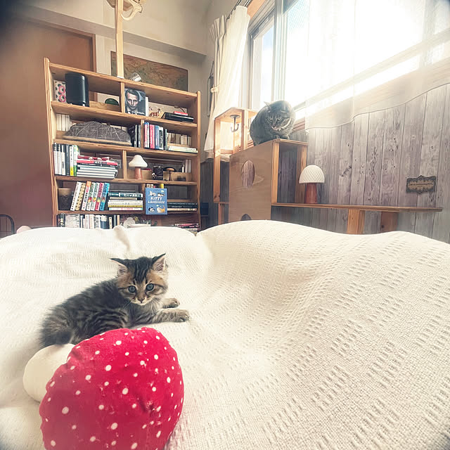 Mさんの部屋