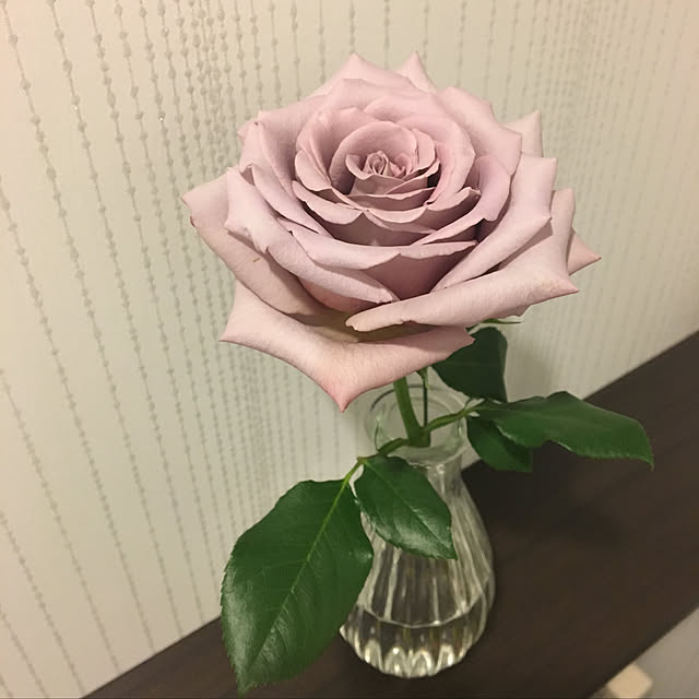 akさんの実例写真