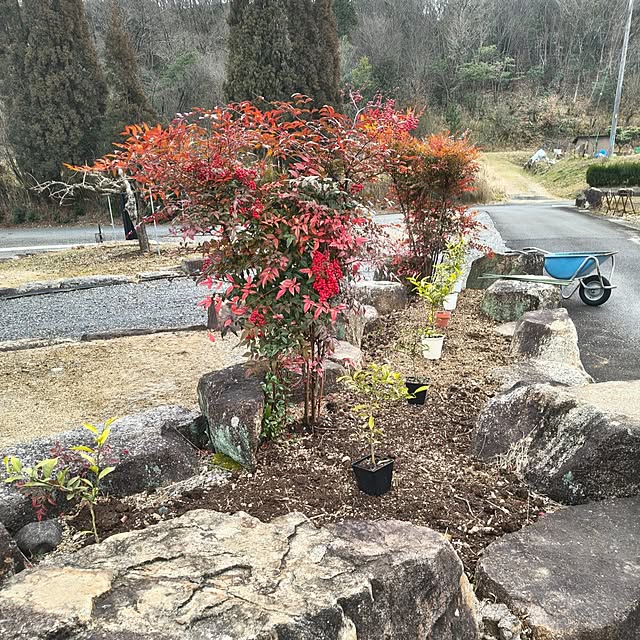 Rubiconさんの部屋