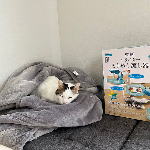 nyaakoさんの部屋