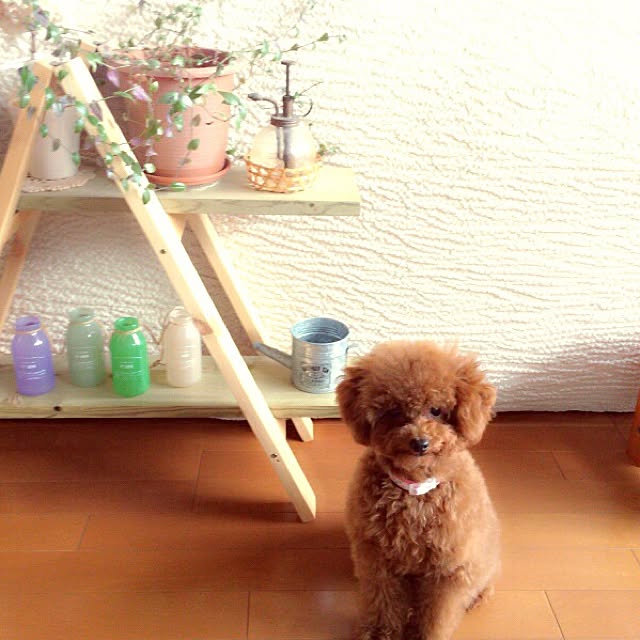 ISM.mumさんの実例写真