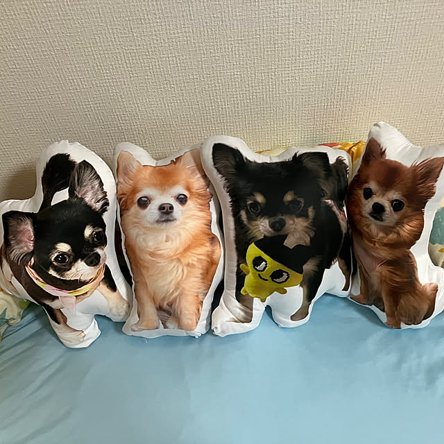 koroさんの実例写真