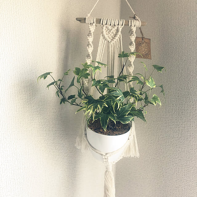 haruさんの実例写真