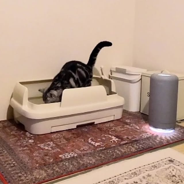 lovepeaceさんの実例写真