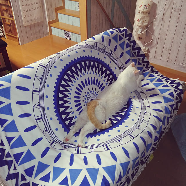 posauruさんの実例写真