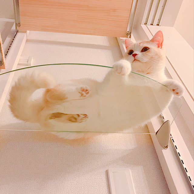 H.Tさんの実例写真