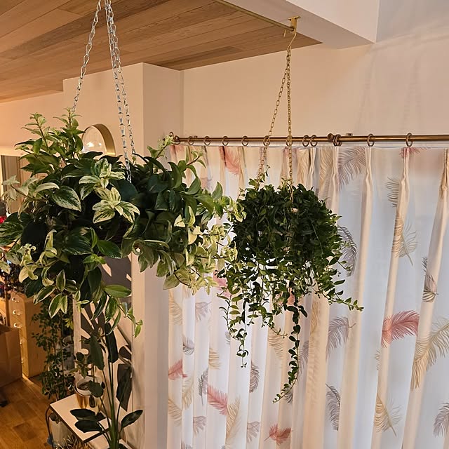 nonbiri_house_さんの部屋