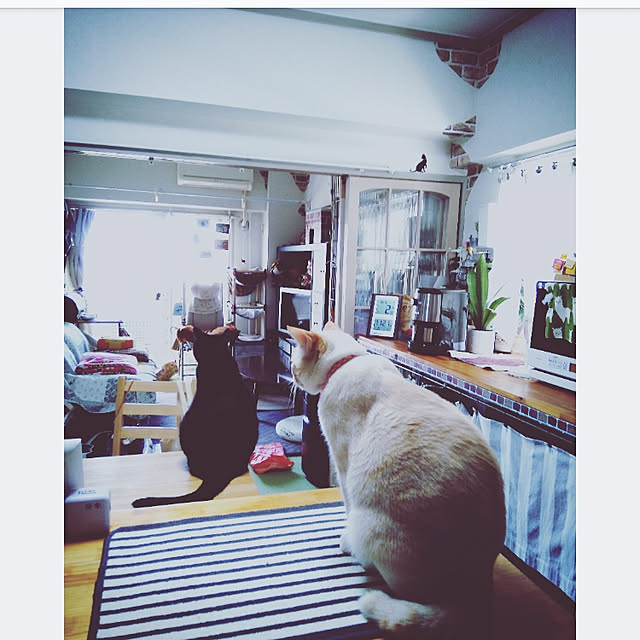 mntcさんの実例写真