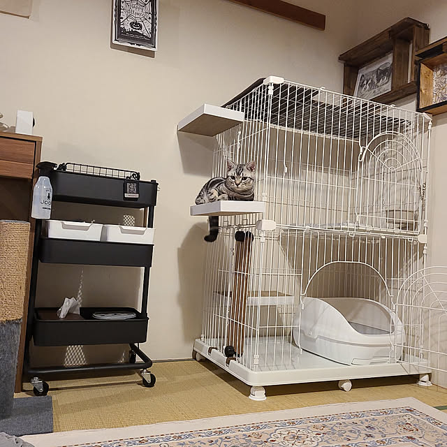 lovepeaceさんの実例写真