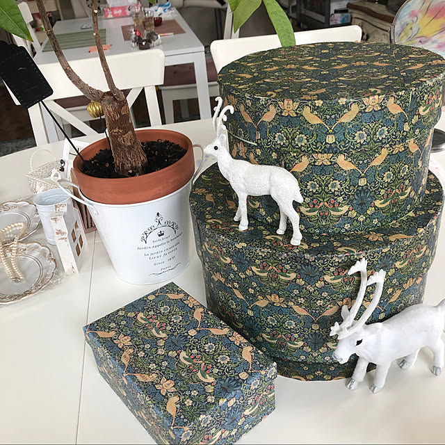 Andaluciaさんの実例写真