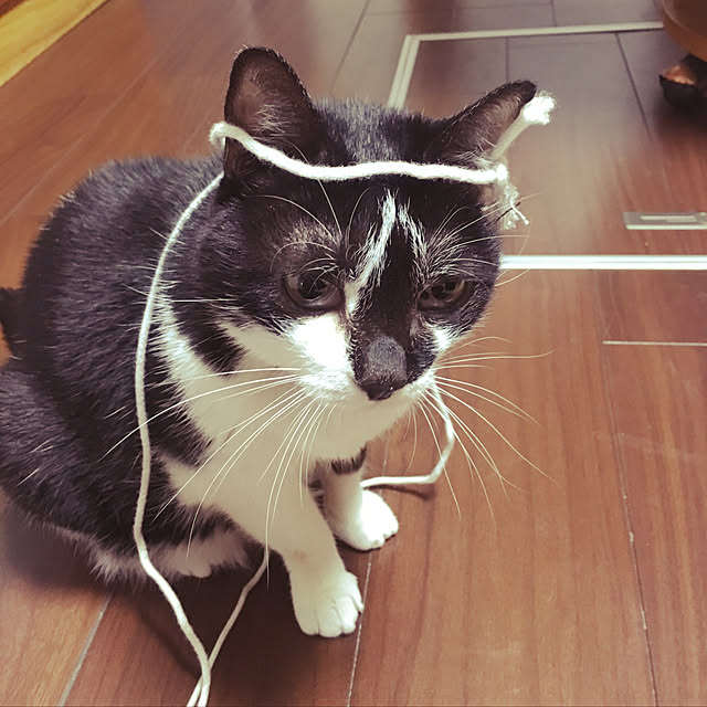 maronさんの実例写真