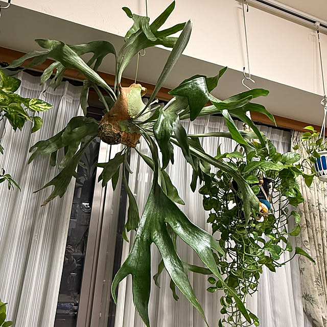 Aqettyさんの部屋