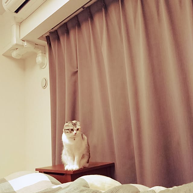 Sachiさんの実例写真