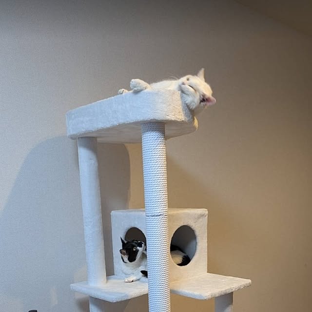 NOAHさんの部屋