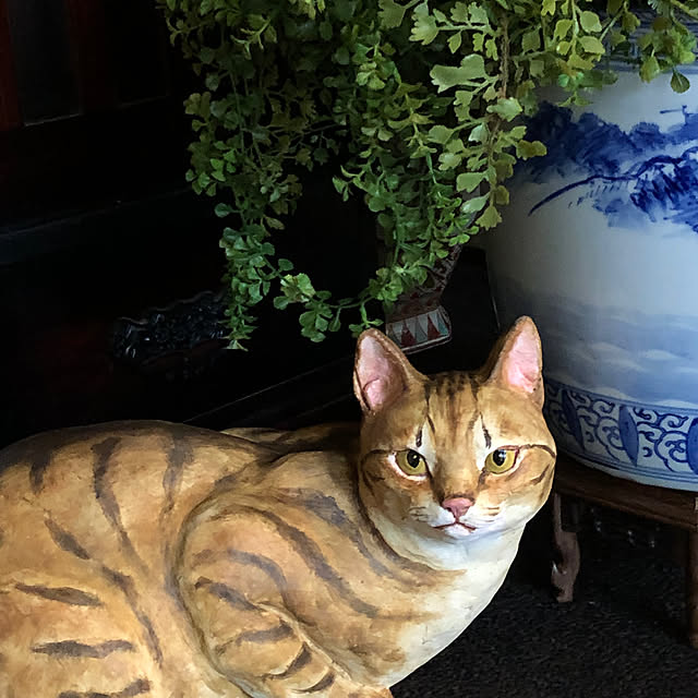 Toruさんの実例写真