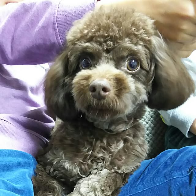 rere3さんの実例写真