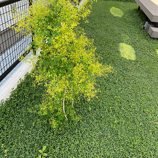 yuuyuさんの部屋