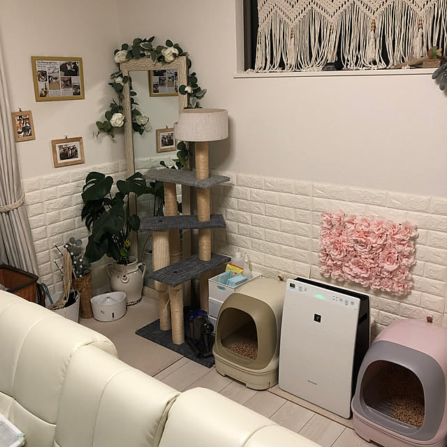 mikenekoさんの部屋
