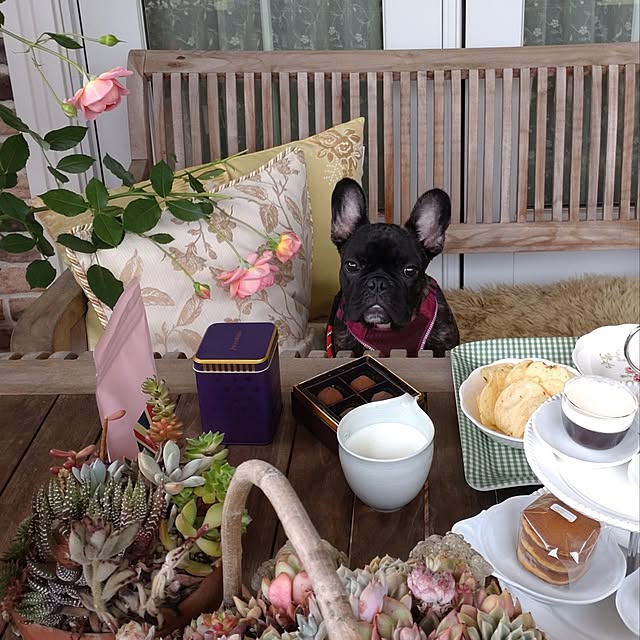 figaroさんの部屋