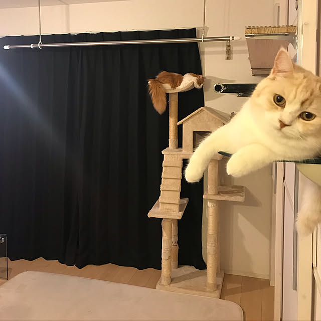 H.Tさんの実例写真
