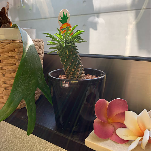 sohanaさんの実例写真