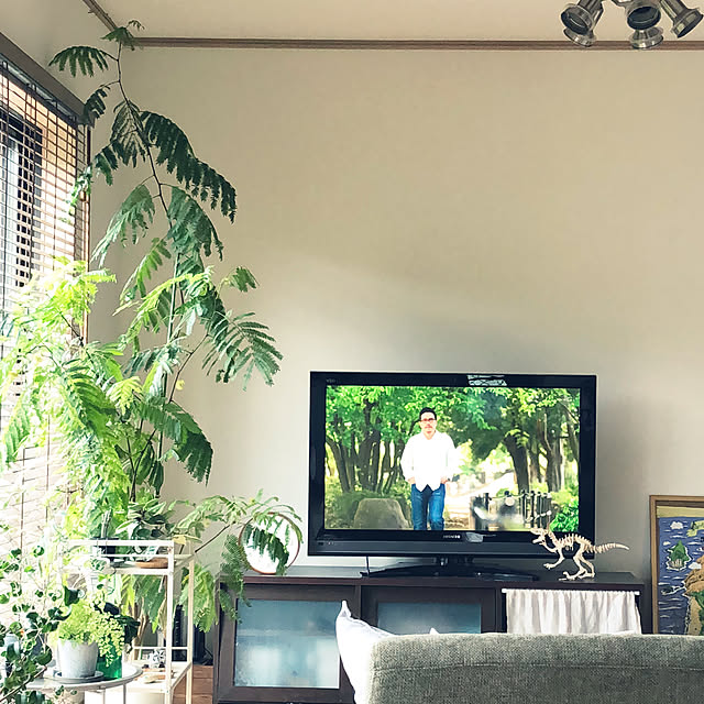 ao___.さんの実例写真
