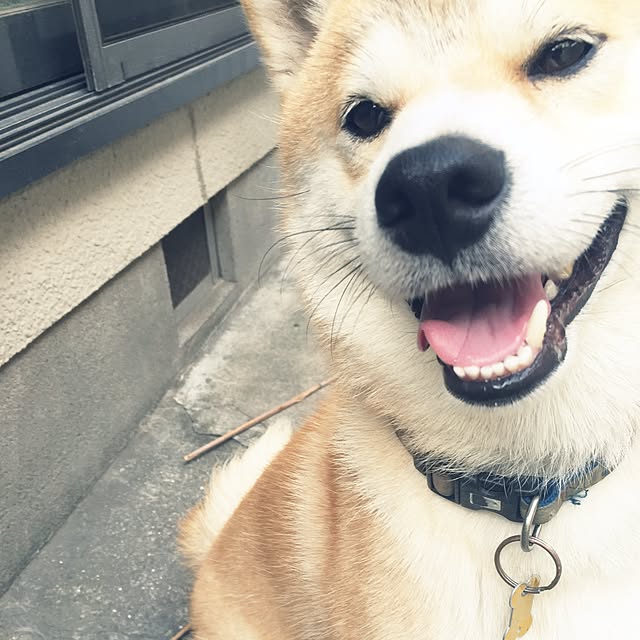 fruity anさんの実例写真