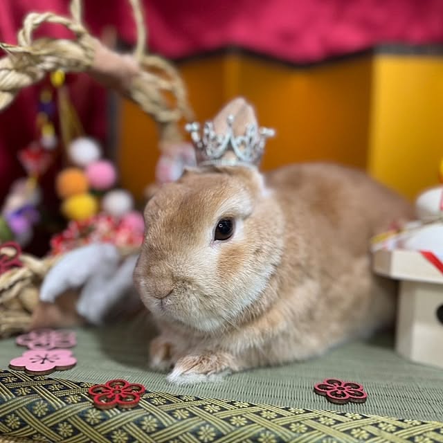 aiさんの実例写真