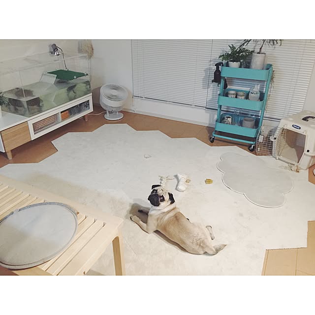 YUIさんの実例写真
