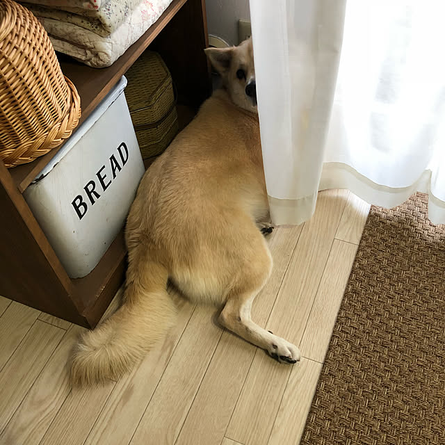 leonaさんの実例写真