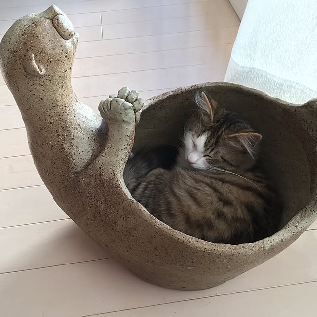 highton0331さんの実例写真