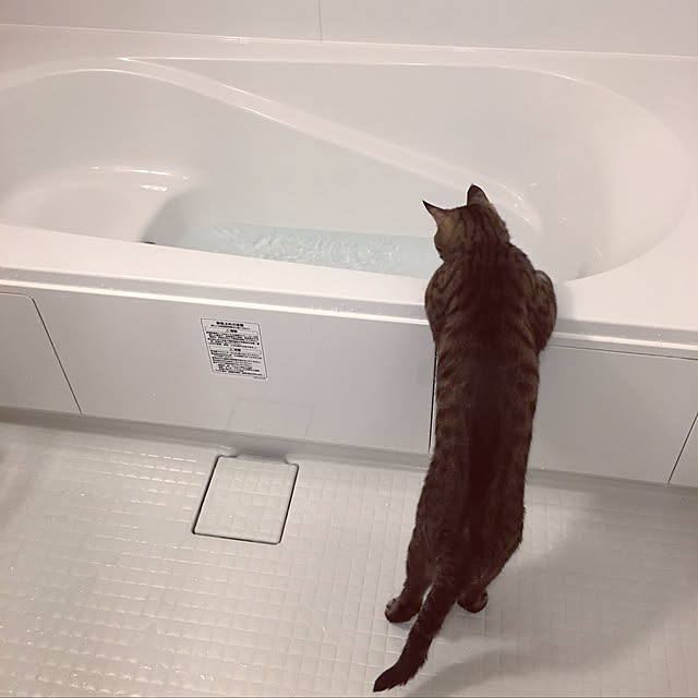 m.and.mさんの実例写真