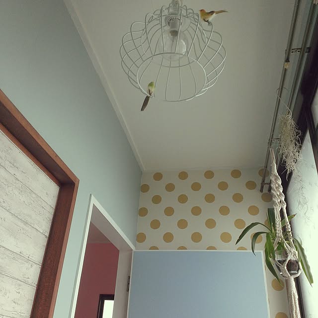 shion825さんの実例写真