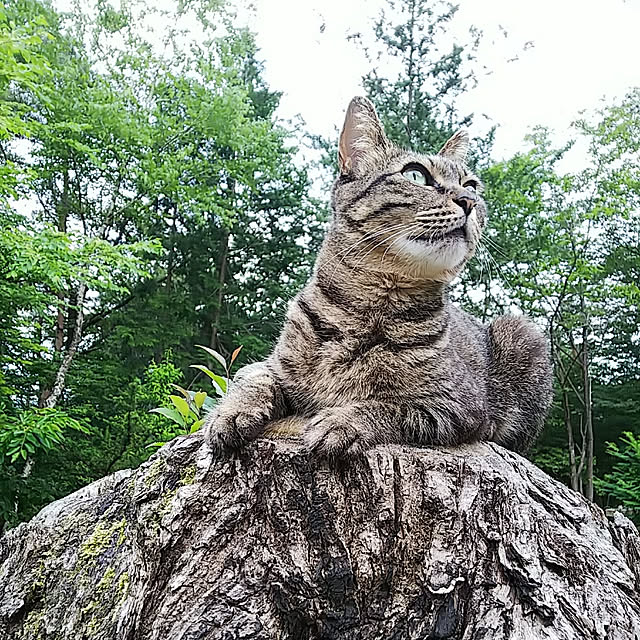 weさんの実例写真