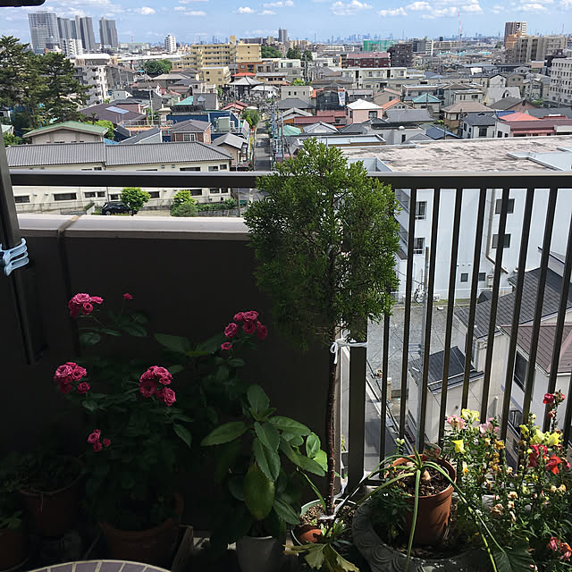 tomobaさんの実例写真