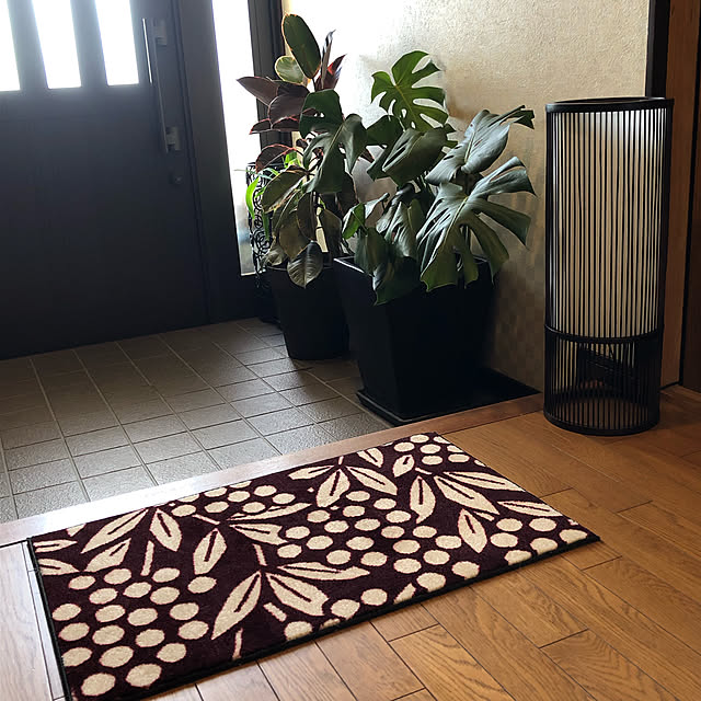 Alohaさんの実例写真