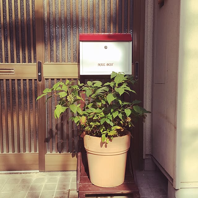 fuumさんの実例写真