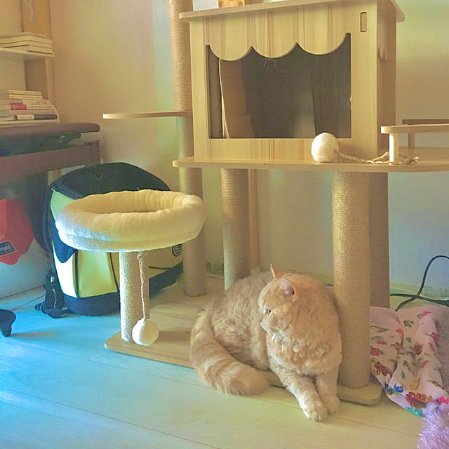 naokoさんの部屋