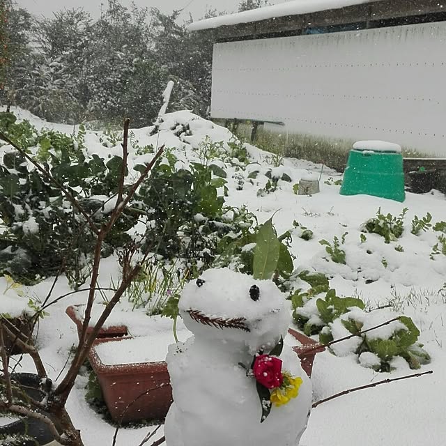 kikuさんの実例写真