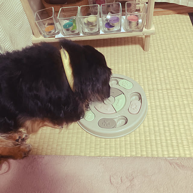 Chikuwaさんの実例写真