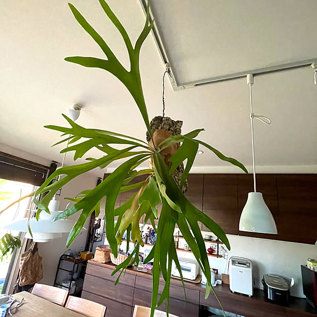 orangeさんの部屋