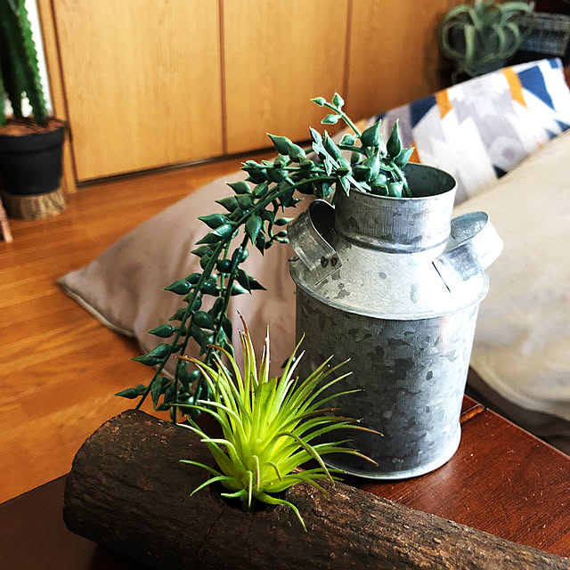 rintarotantan7さんの部屋
