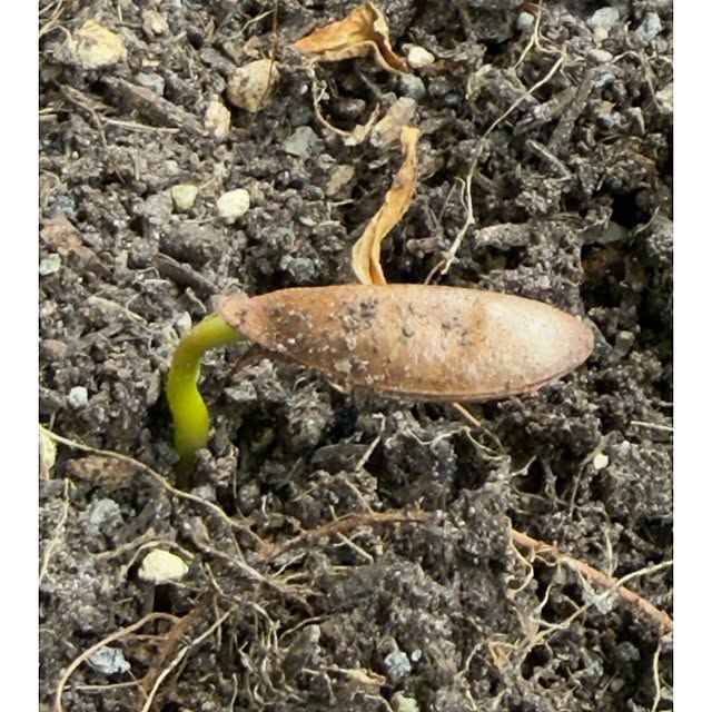 ToReTaRiさんの部屋