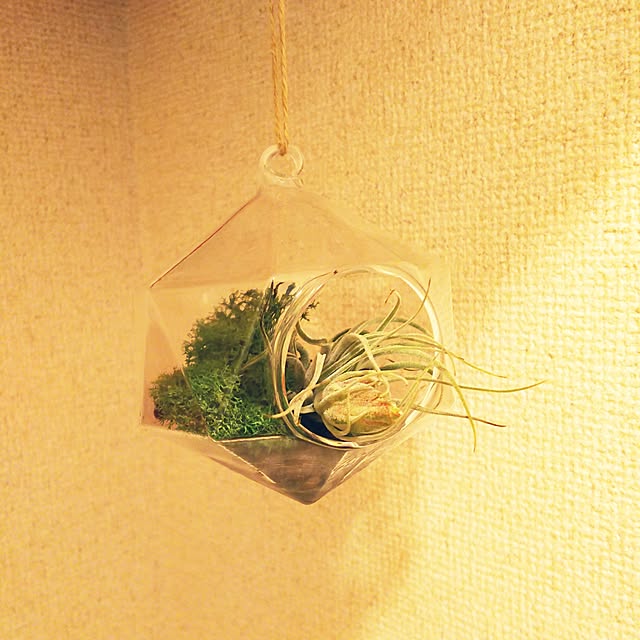 naruleさんの実例写真