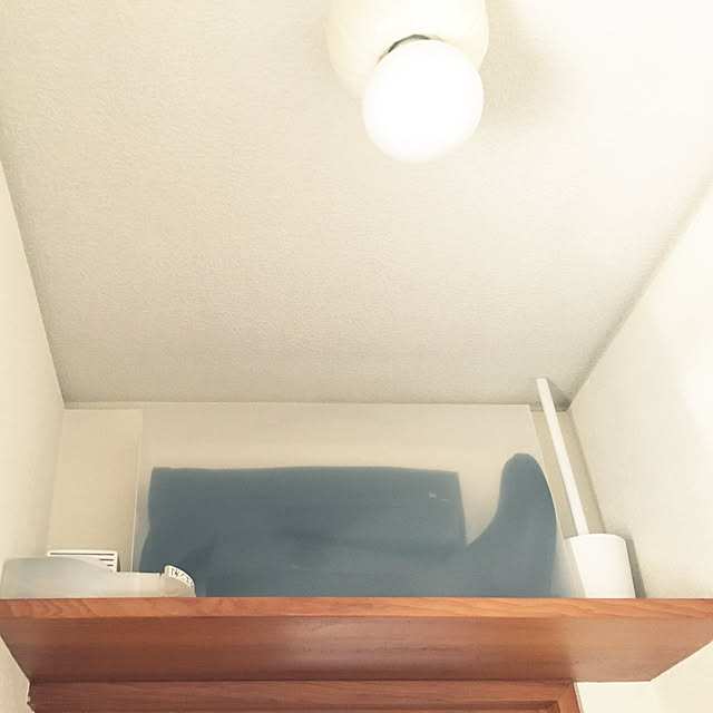 バス/トイレ/ニトリ/ブーツ収納/ナチュラルクリーニング/シンプルな暮らし...などのインテリア実例 - 2019-01-19 09:25:08