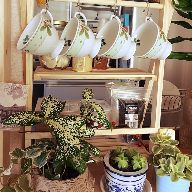キッチン/コーヒーカップ/観葉植物/カフェ風のインテリア実例 - 2017-01-15 11:08:56
